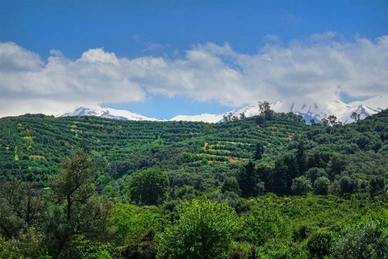 Anthos Village Agia  Buitenkant foto
